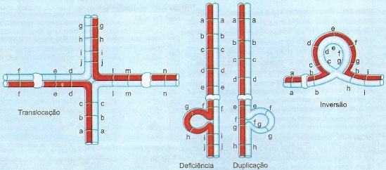 Aberrações cromossômicas estruturais