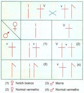 Deficiência Notch