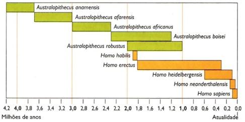 Gráfico da evolução humana