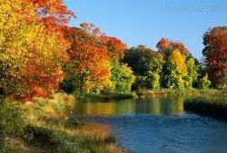 Floresta temperada de Ontário no Canadá