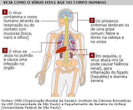 Propagação da gripe