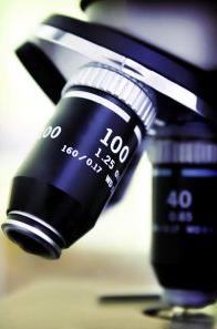 Microsc&oacute;pio