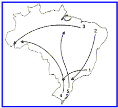 Movimentos migratórios