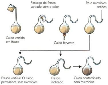 Experimento de Pasteur sobre a origem da vida.