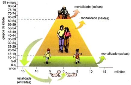 Dinâmica de uma pirâmide etária