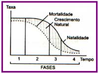 População da américa do sul