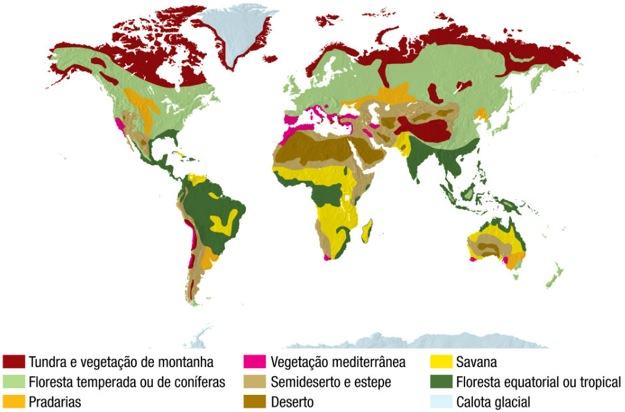 Tipos de vegetação no mundo