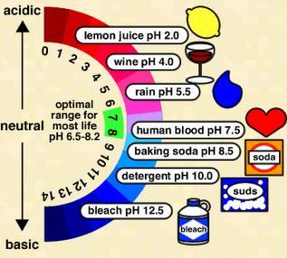 Indicador de pH