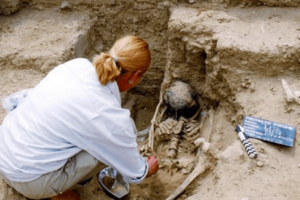 Arqueólogo