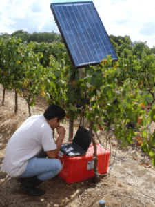 Engenheiro Agricola