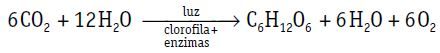 Equação da fotossíntese.