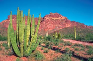 Exemplo de deserto.