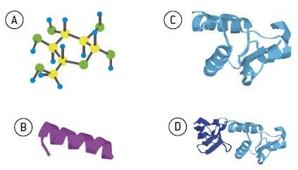 Estrutura das proteínas