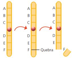 Mutação cromossômica estrutural por delação.