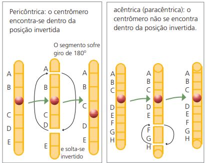 Mutação cromossômica estrutural por inversão.