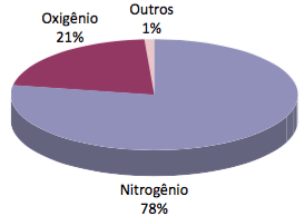 Gráfico com as quantidades de gases do ar atmosférico.