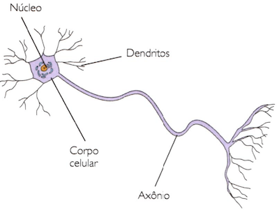 Estrutura de um neurônio