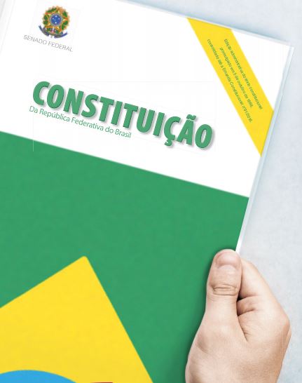 Imagem de alguém segurando a constituição brasileira.