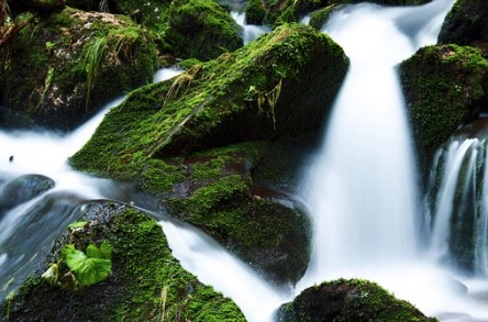 Pedras cobertas por musgos em uma cachoeira.