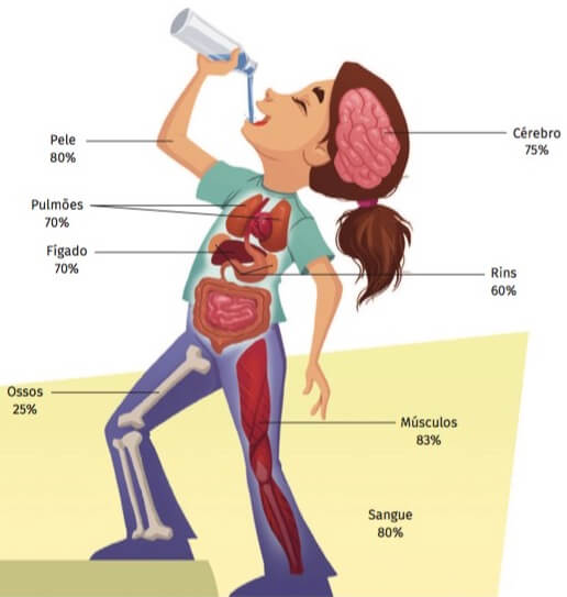 Importância da água para o ser humano.