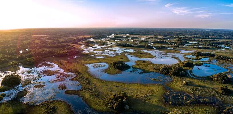 Foto do Pantanal com sua planície alagada.