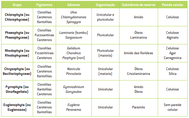 Quadro com os diferentes grupos de algas e suas características.