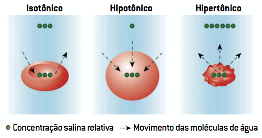 Osmose em diferentes meios.