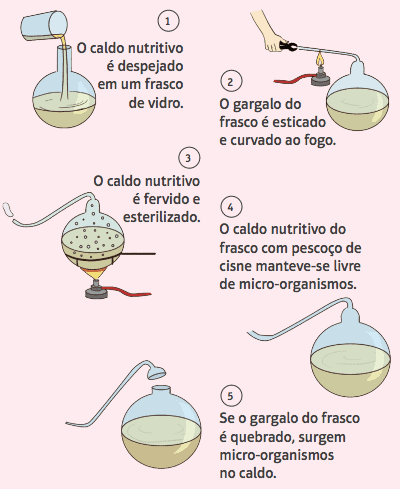 Esquema representativo dos experimentos de Pasteur.