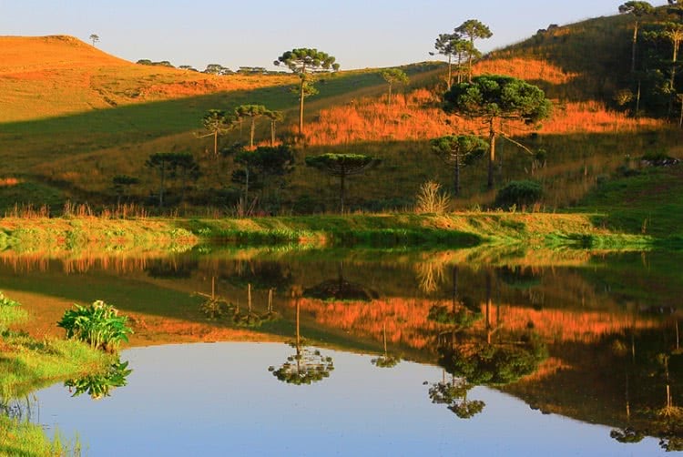 Paisagem dos campos.