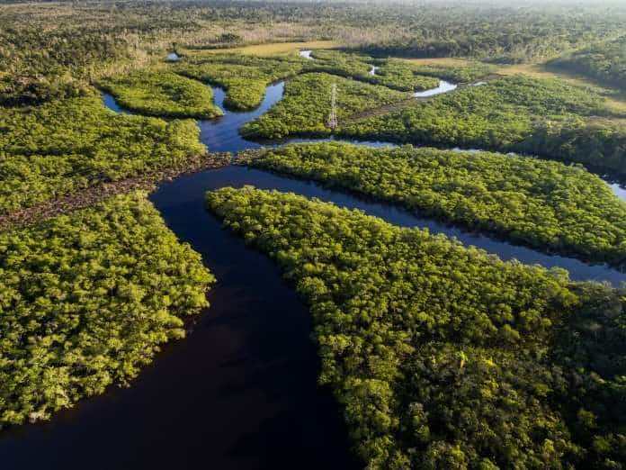 Bioma da Amazônia.