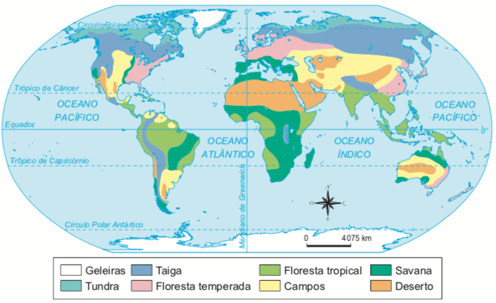 Biomas Terrestres - tundra, taiga, florestas, campos - Cola da Web em  2023