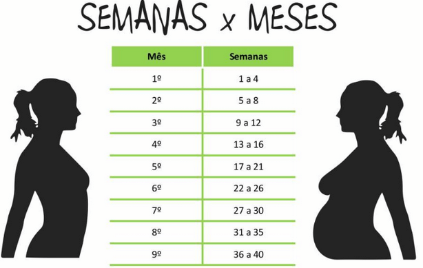 Semanas e Meses da Gravidez