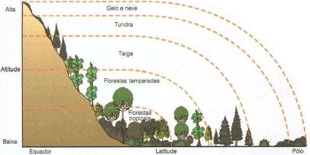 Distribuição dos biomas terrestres conforme a altitude e latitude.