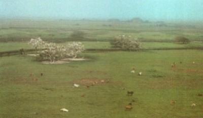 Campos no Rio Grande do Sul