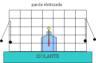 gaiola-faraday