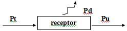 receptores2
