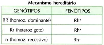 Mecanismo hereditário do Sistema Rh