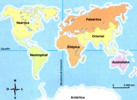 Regiões biogeográficas