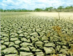 Seca do Nordeste Brasileiro