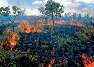 Incêndios naturais