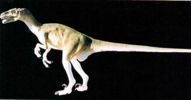 Dinossauro do tipo Velocirraptor