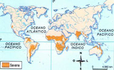 Mapa da Savana