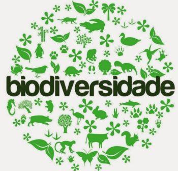 Biodiversidade