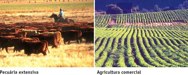 Trabalho no meio rural: pecuária e agricultura.
