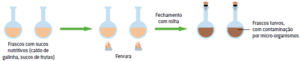 Geração Espontânea - Teorias e Experimentos - Cola da Web