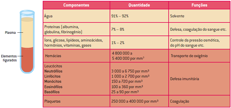 Composição do sangue.