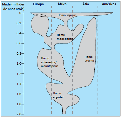 Processo da hominização.