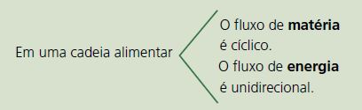 Classificação dos níveis tróficos.