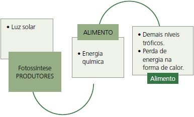 Níveis tróficos.