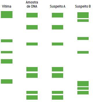 Exemplo de um teste de DNA